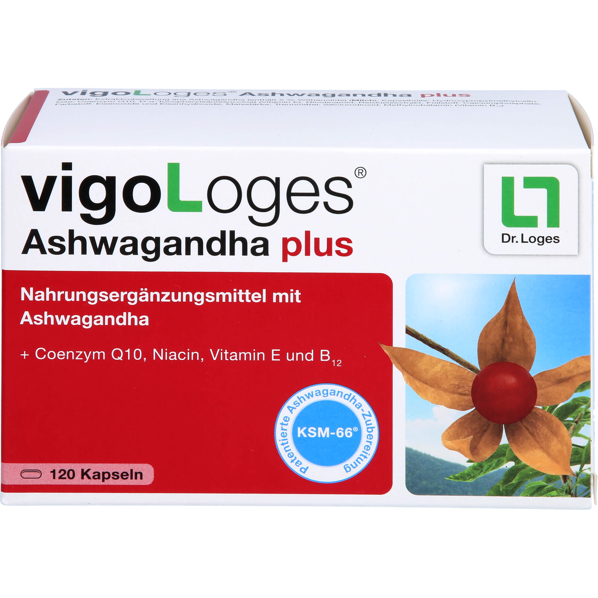 VIGOLOGES Ashwagandha plus Kapseln 120 St
