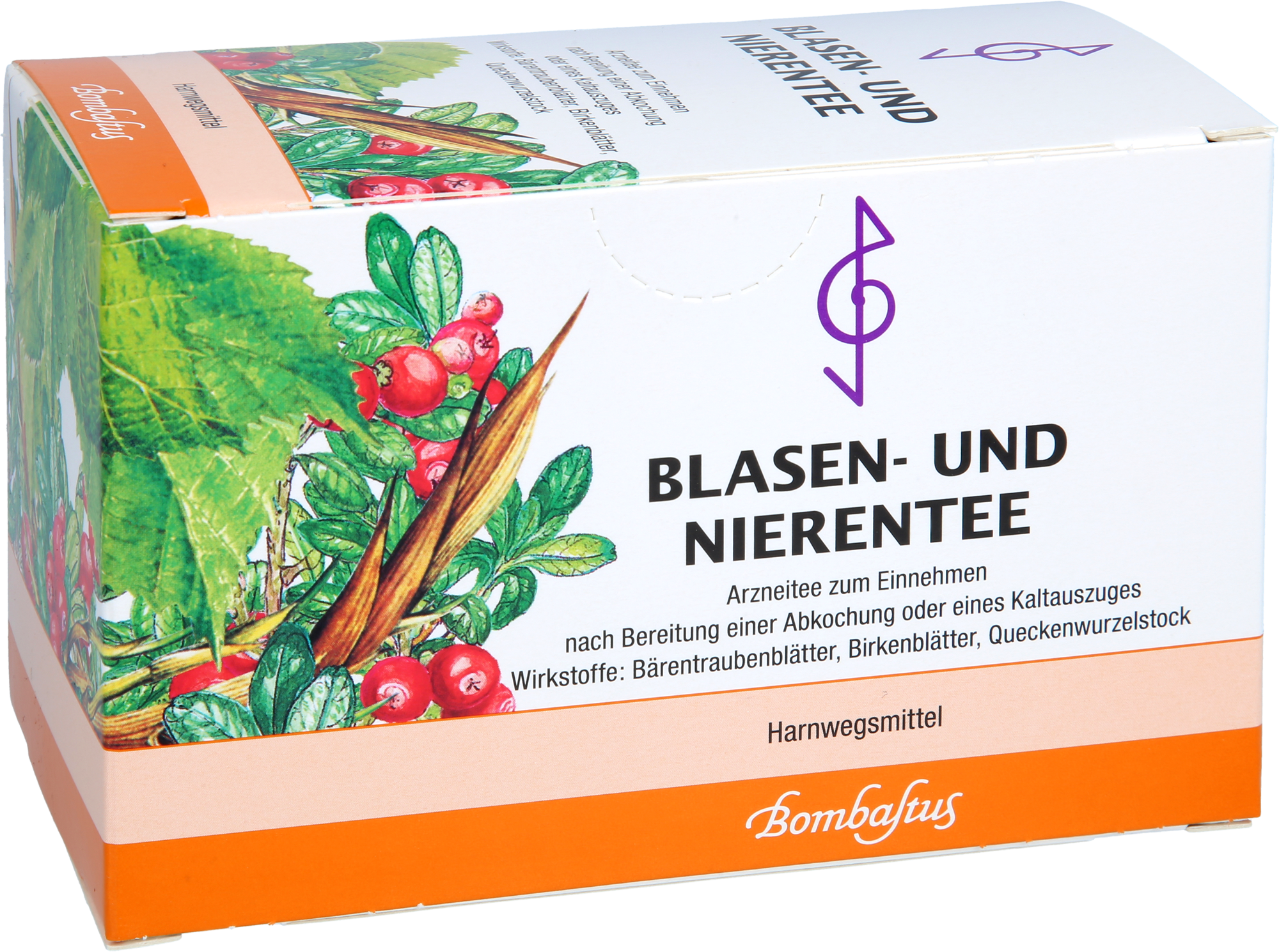 BLASEN UND Nierentee VII Bombastus Filterbeutel