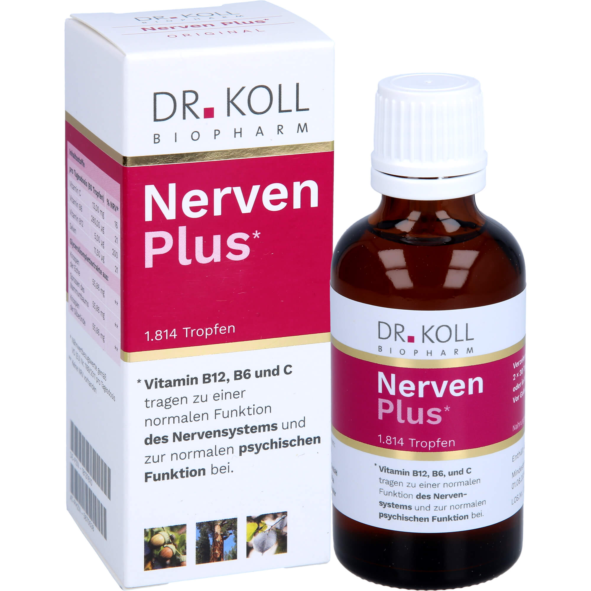 NERVEN PLUS Dr.Koll Gemmo Kompl.Vit.B12 B6 Tropfen