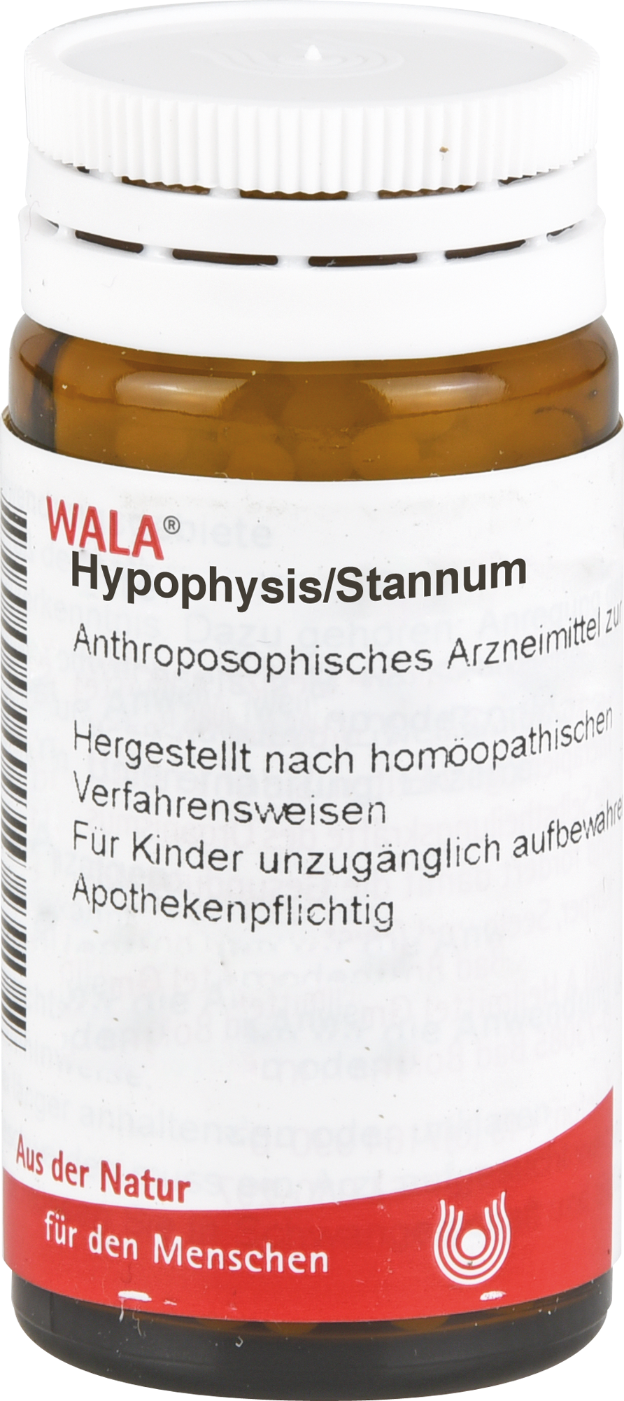 HYPOPHYSIS/STANNUM Globuli