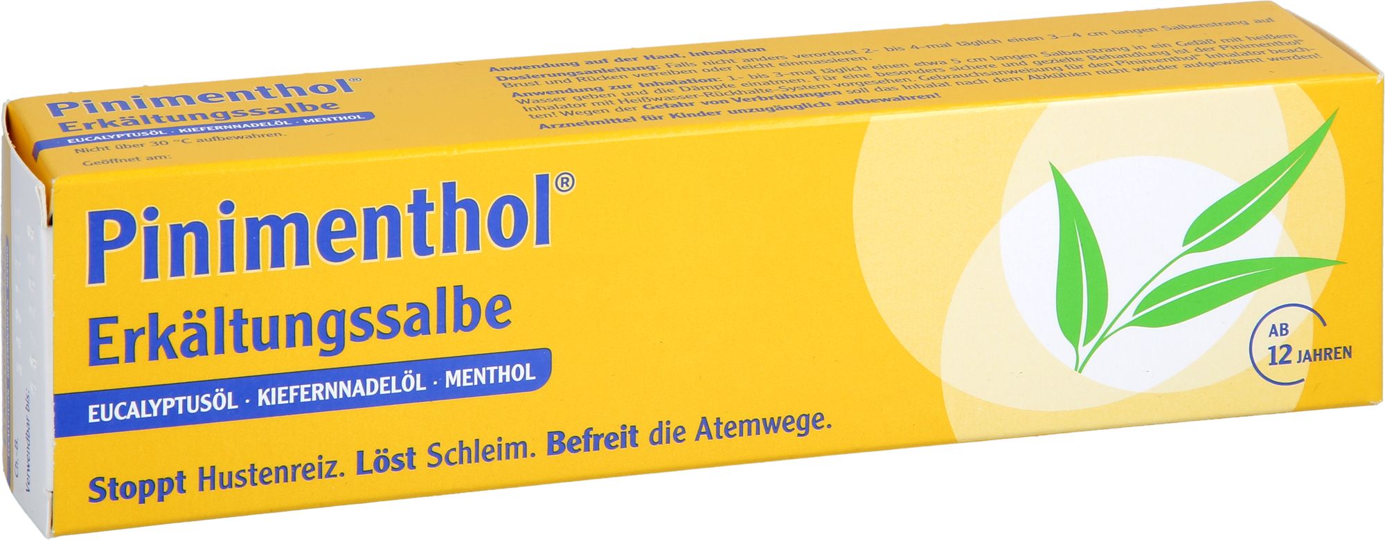 PINIMENTHOL Erkältungssalbe Eucal./Kiefern./Menth. 100 g
