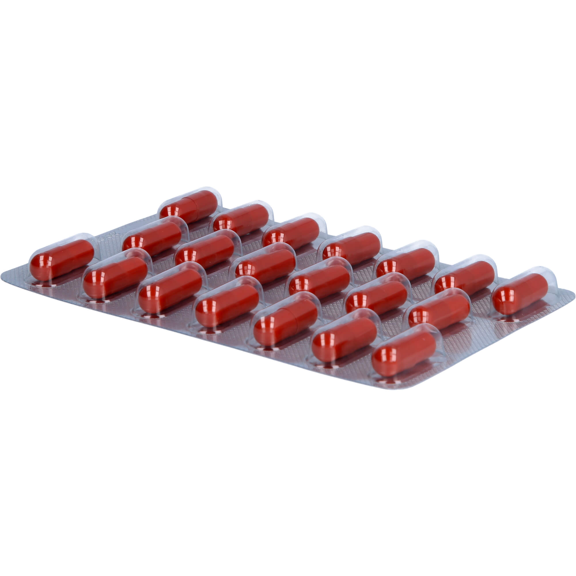 VIGOLOGES Ashwagandha plus Kapseln 60 St