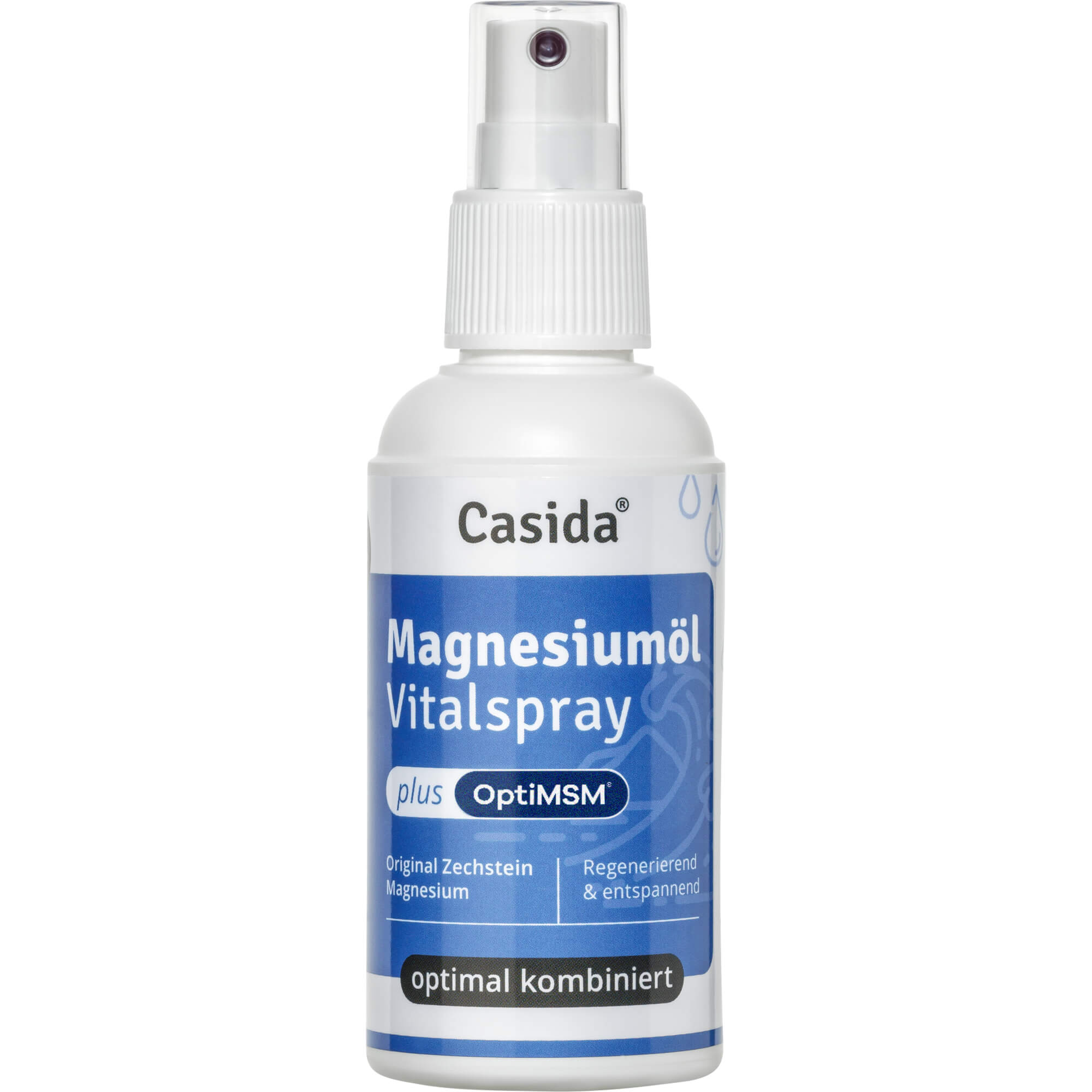 MAGNESIUMÖL+MSM Vitalspray Zechstein