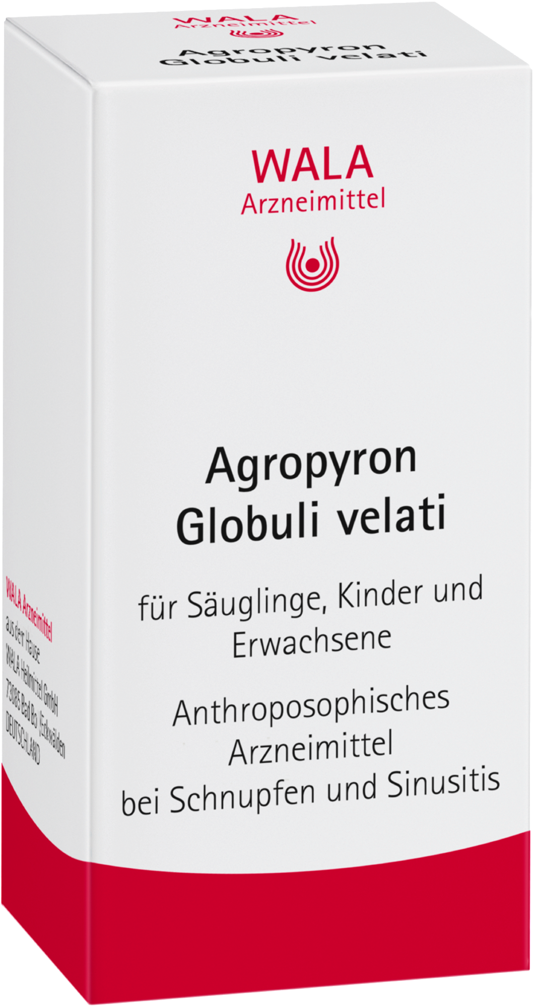 AGROPYRON Globuli velati